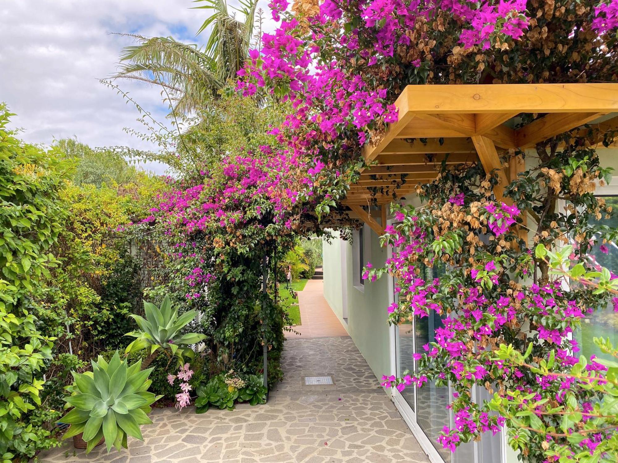 Terra Vivaz - Ribeira Cottage Ribeira Grande Exterior photo